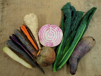 pastinake-palmkohl-gelbe-rande-chioggia-weisse-karotten-violette-karotten.jpg